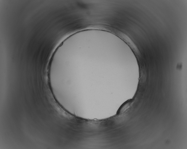 X0000089440908200707131903