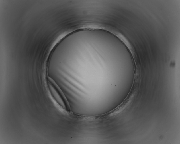 X0000089440909200707131903