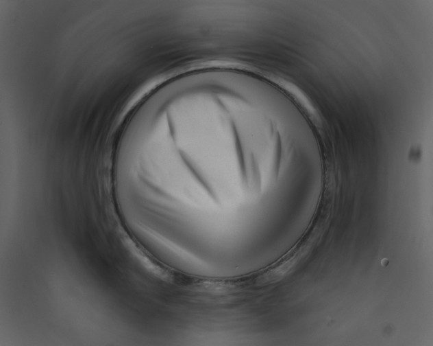 X0000089440910200707131903