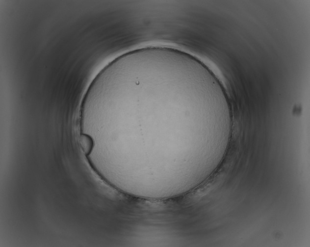X0000089440911200707131903
