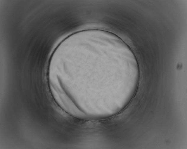 X0000089440912200707131903