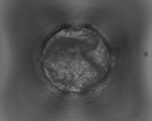 X0000089440913200707131902