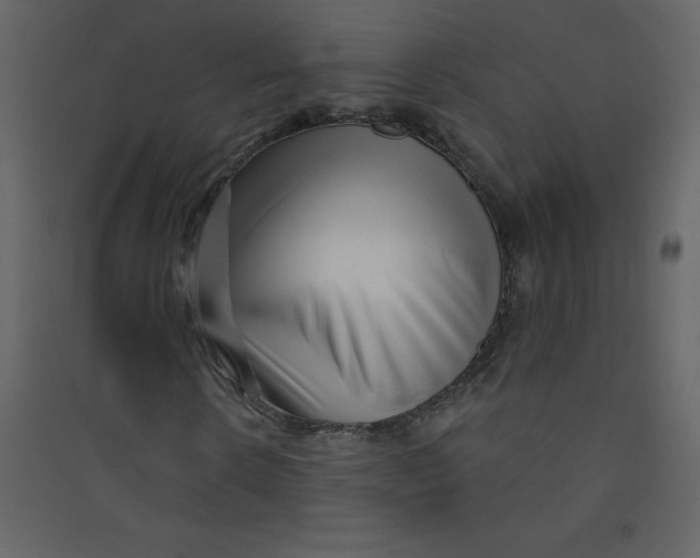 X0000089440914200707131902