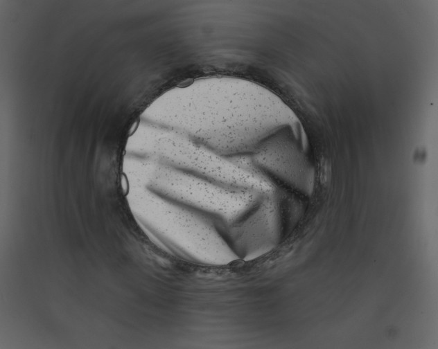 X0000089440915200707131902