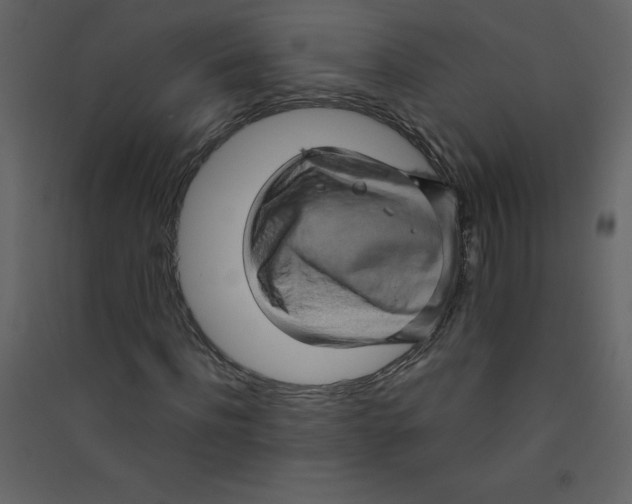 X0000089440916200707131902