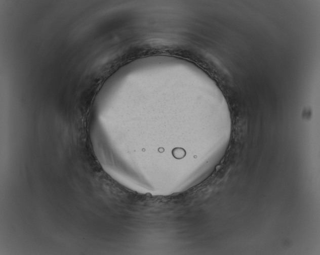 X0000089440917200707131902