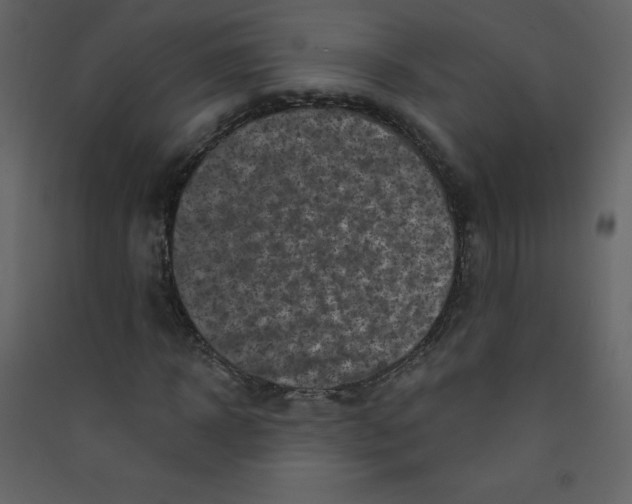 X0000089440918200707131902