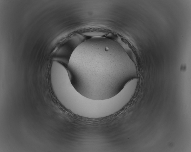 X0000089440920200707131902