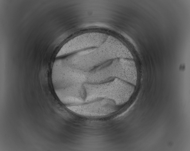X0000089440921200707131902