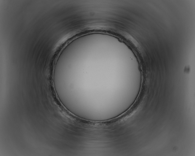 X0000089440922200707131902