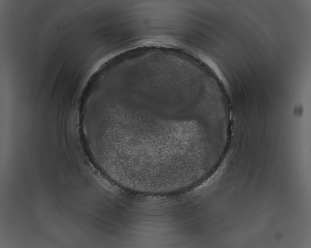 X0000089440923200707131902
