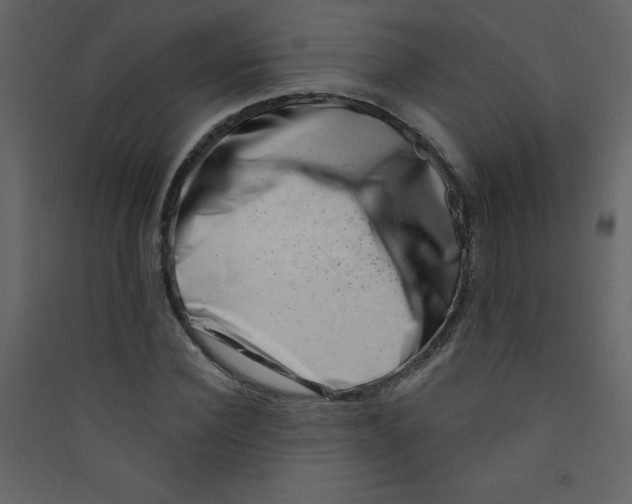 X0000089440924200707131902