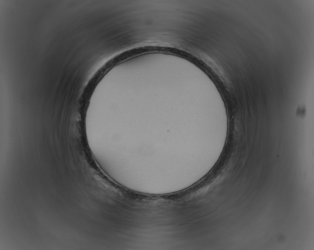 X0000089440926200707131902