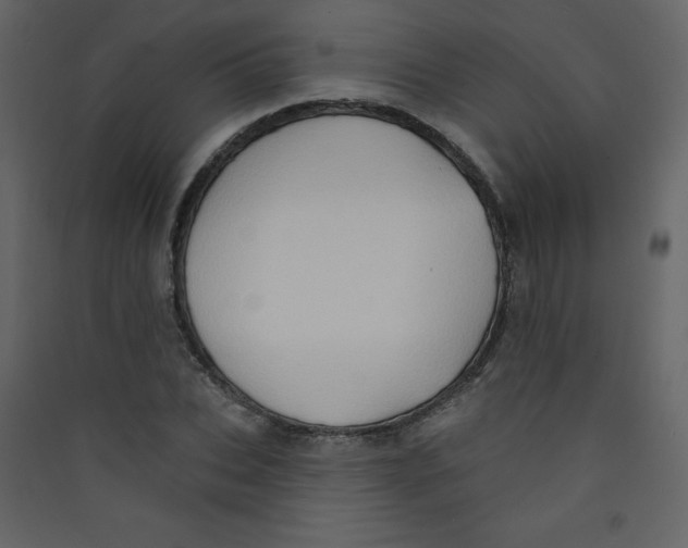 X0000089440927200707131902