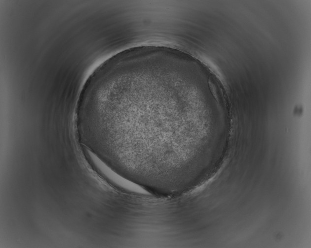 X0000089440928200707131902