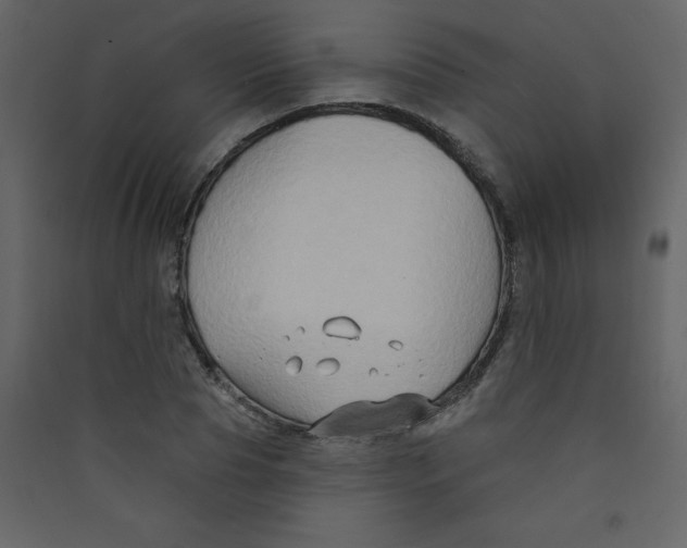 X0000089440929200707131902