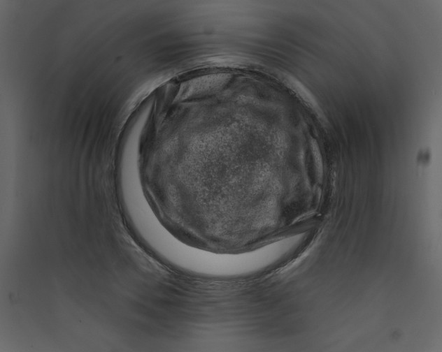 X0000089440930200707131902