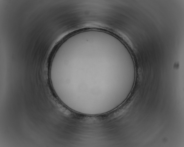 X0000089440931200707131903