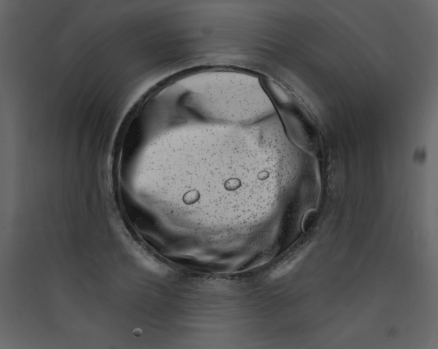 X0000089440932200707131903