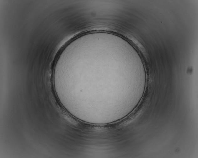 X0000089440933200707131903