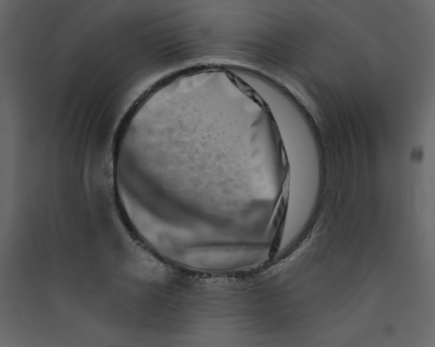 X0000089440934200707131903