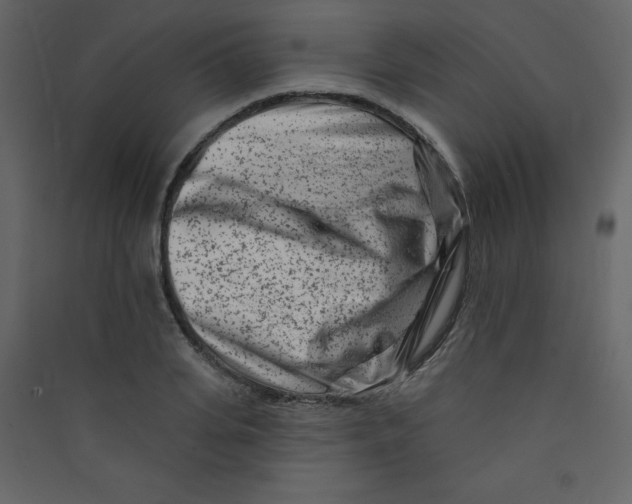 X0000089440935200707131903