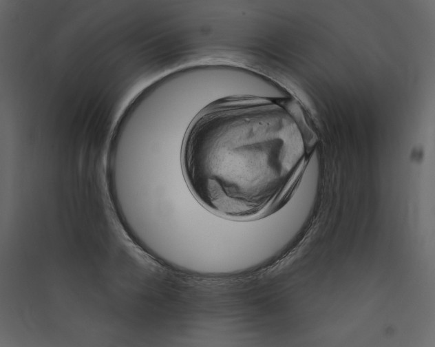 X0000089440936200707131903