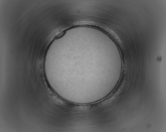 X0000089440937200707131903