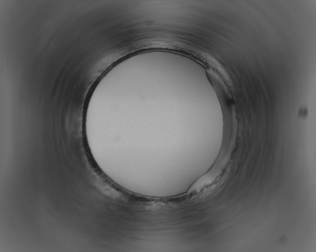 X0000089440938200707131903