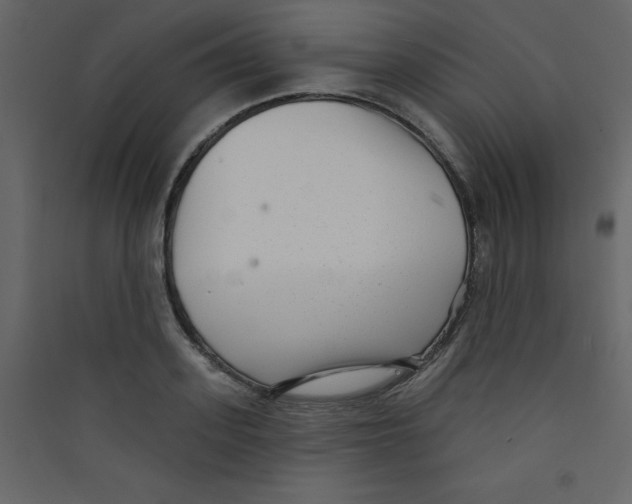 X0000089440939200707131903