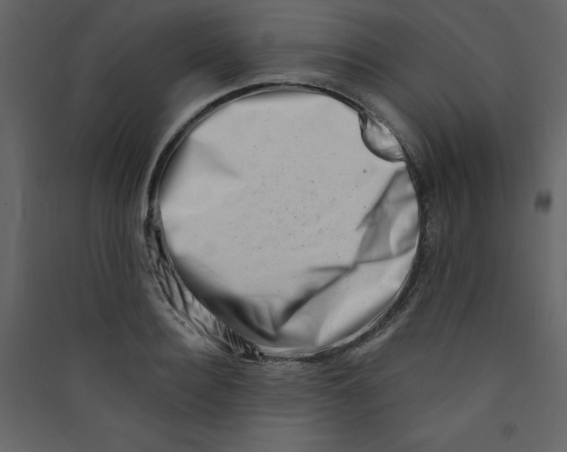 X0000089440940200707131903