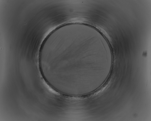 X0000089440941200707131903