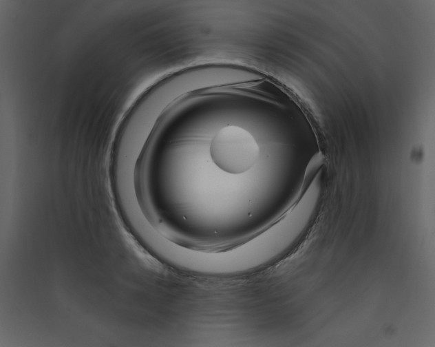 X0000089440942200707131903