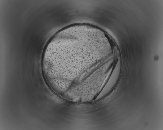 X0000089440943200707131903