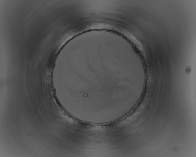 X0000089440945200707131903