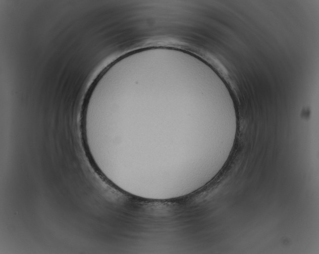X0000089440947200707131903