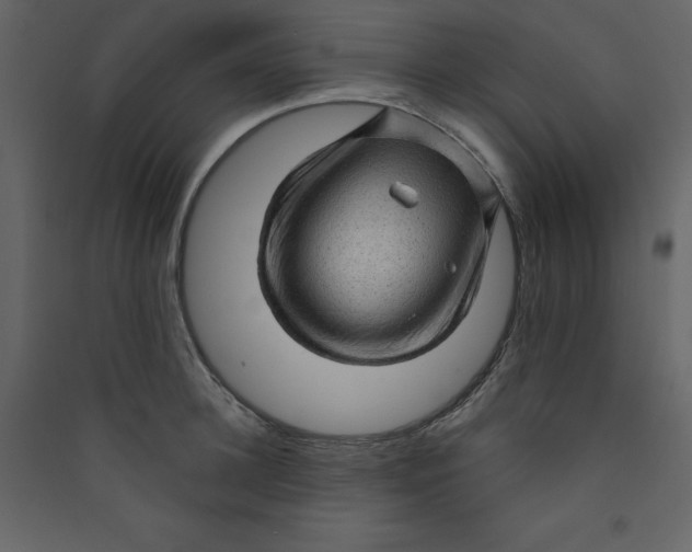 X0000089440948200707131903