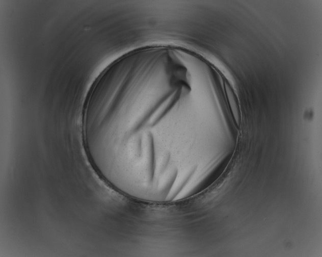 X0000089440951200707131903