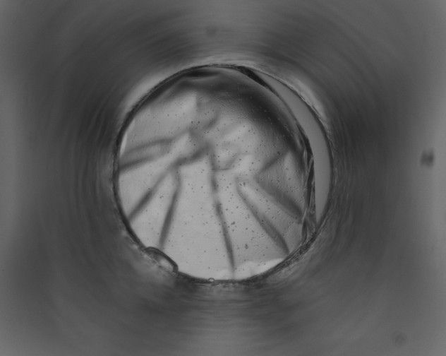 X0000089440952200707131903
