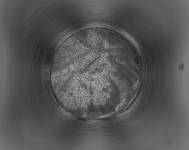 X0000089440953200707131903