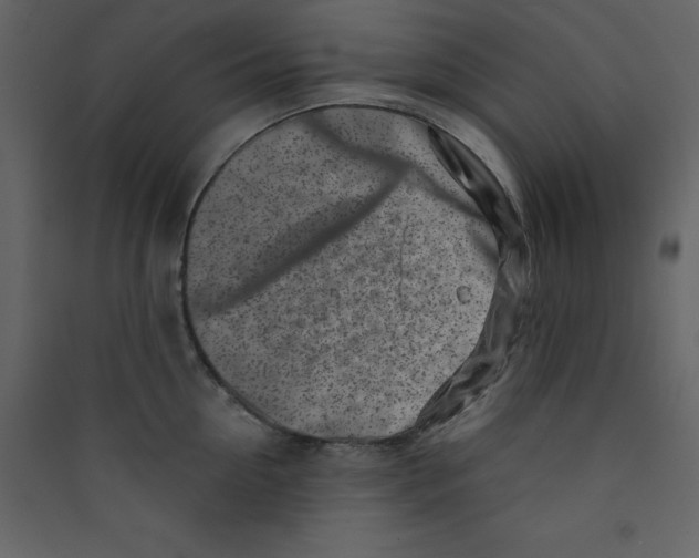 X0000089440954200707131903