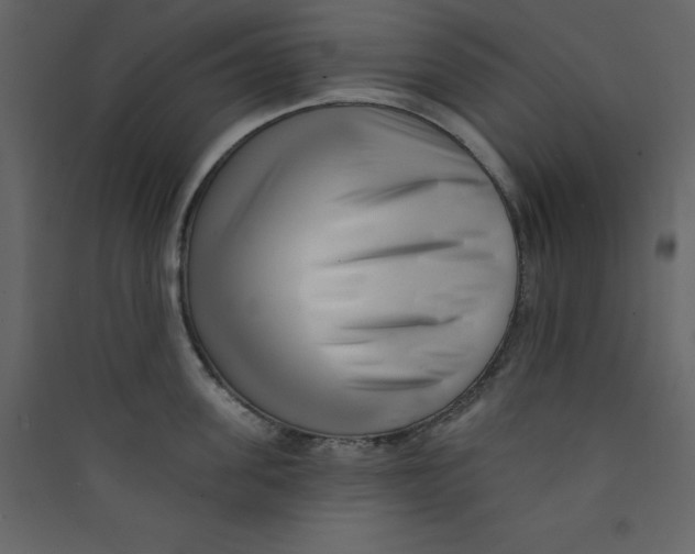 X0000089440955200707131903