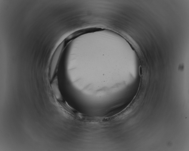X0000089440956200707131903