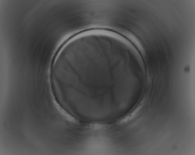 X0000089440958200707131903