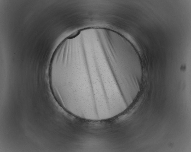 X0000089440959200707131903
