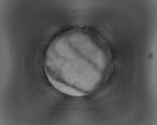 X0000089440961200707131902