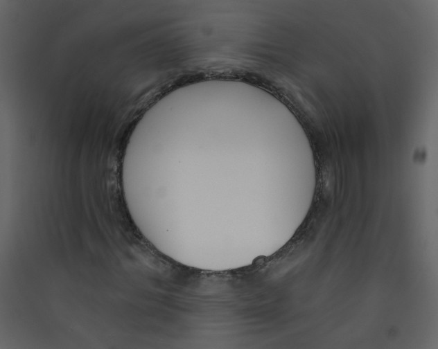 X0000089440964200707131902