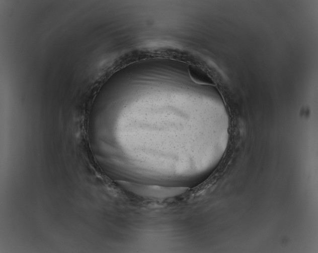 X0000089440965200707131902