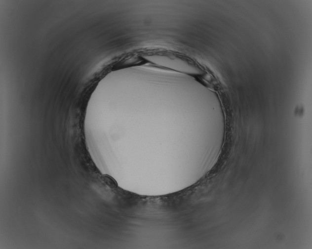 X0000089440968200707131902