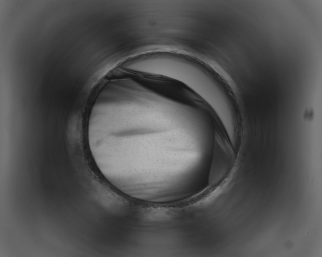 X0000089440969200707131902